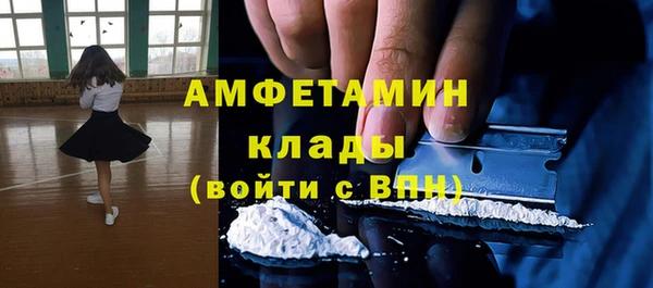 индика Богородск