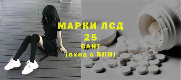 индика Богородск