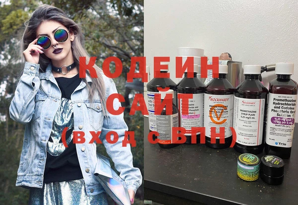 индика Богородск