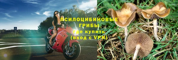 ПСИЛОЦИБИНОВЫЕ ГРИБЫ Богородицк