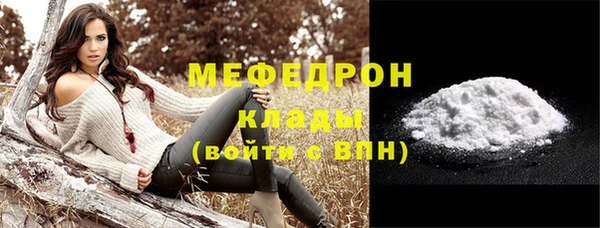 индика Богородск