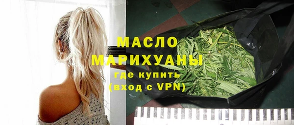 индика Богородск