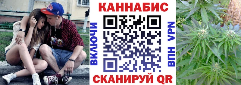 Каннабис сатива  Новоржев 